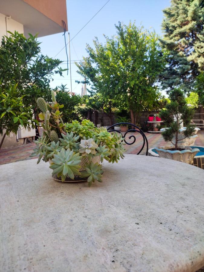 فندق Vila Cikaj دراس المظهر الخارجي الصورة