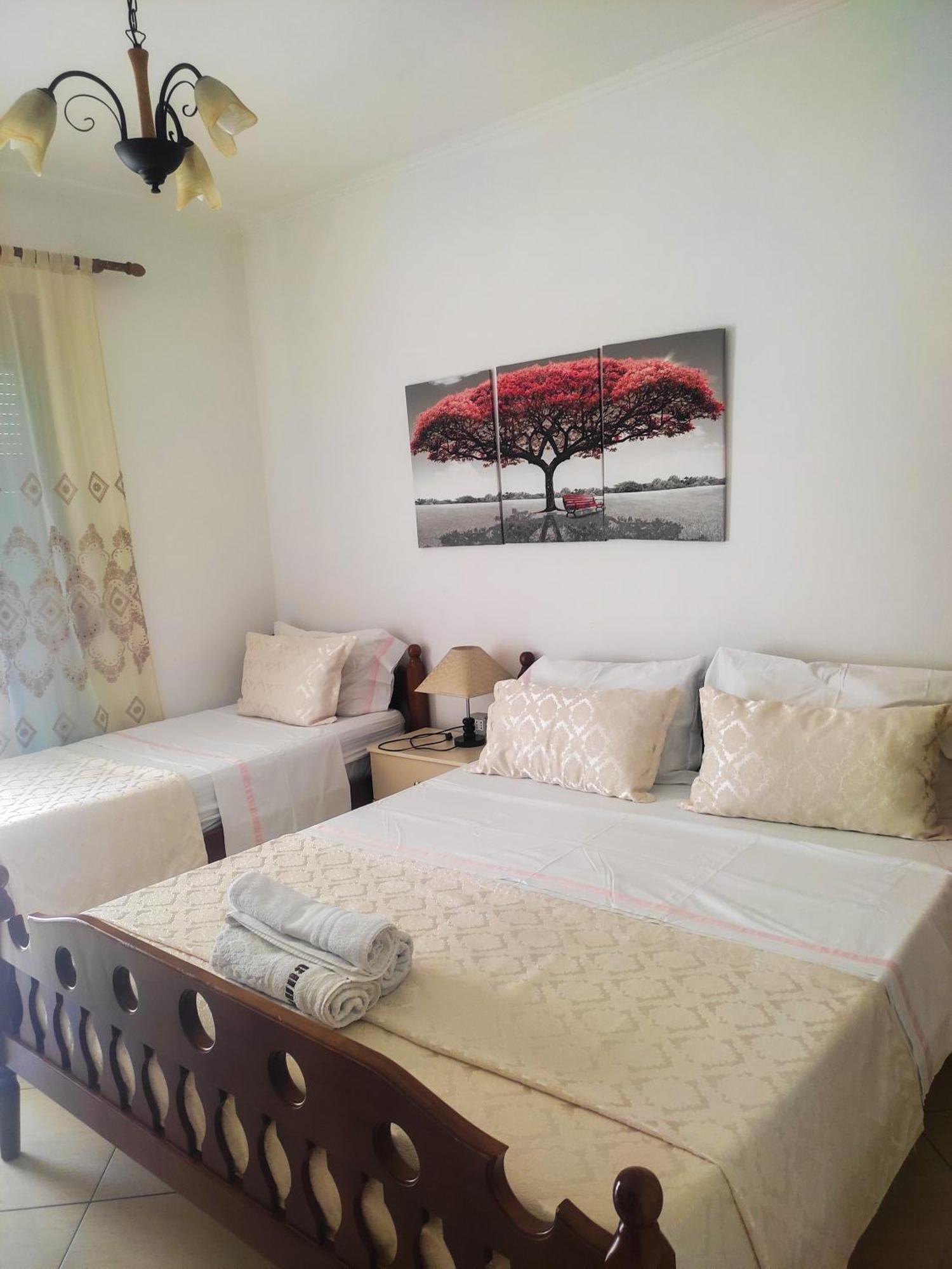 فندق Vila Cikaj دراس المظهر الخارجي الصورة